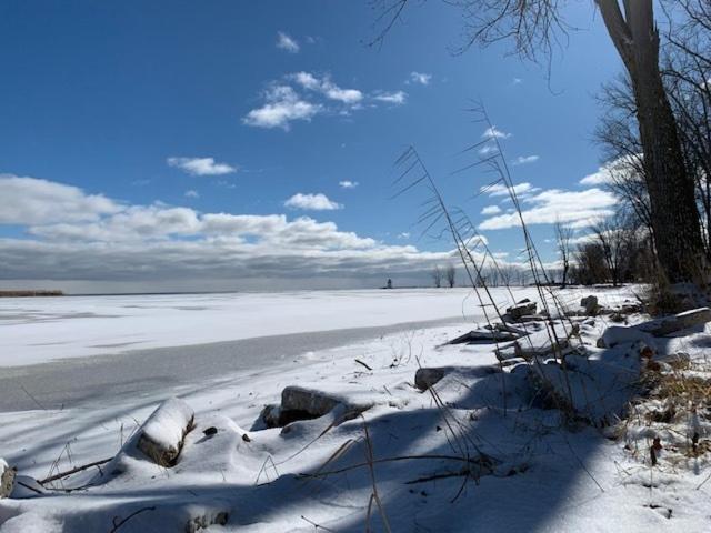 Life'S A Hoot Au Gres Exterior foto